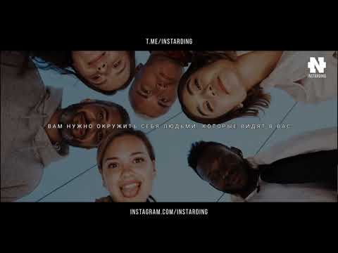 Вот каким должен быть настоящий друг Джордан Питерсон о дружбе