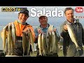 Programa 127 MDQ-Team Tv | LAGUNA SALADA GRANDE A PURO MATUNGO