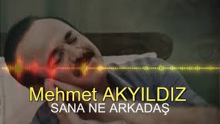 Mehmet AKYILDIZ - SANA NE ARKADAŞ (RESMİ HESAP) Resimi