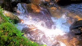 A river sound in sunny nature #relaxing #meditation #relaxingmusic #nature #asmr #water #river