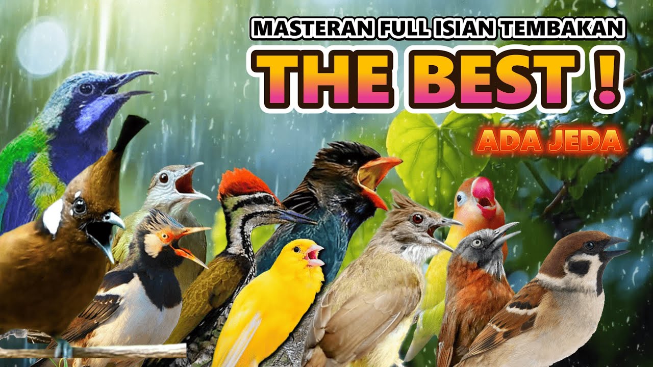 #4 MASTERAN KOMPLIT FULL ISIAN TEMBAKAN MEWAH TERBARU !