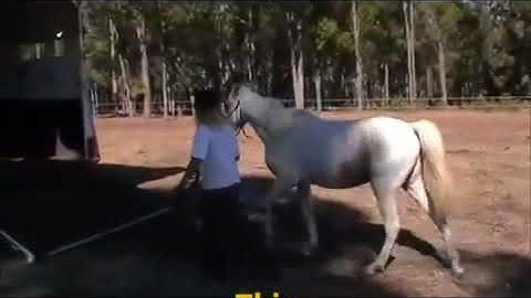 Takoda float loading   YouTube