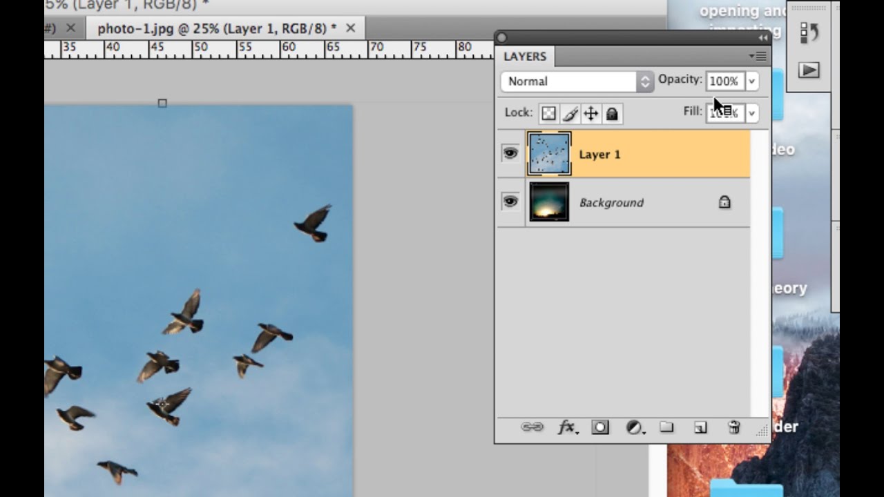 Layer Styles Double Exposure