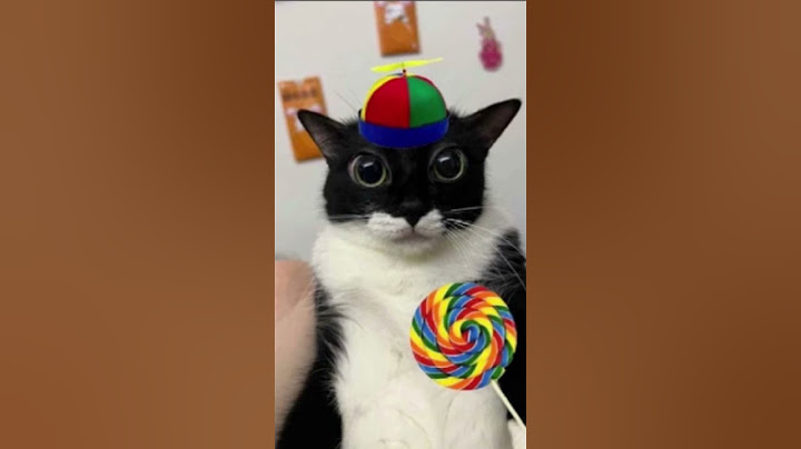 Кот с леденцом #funny #sprunki #incredibox #sprunkiincredibox #flipaclip #animation #cat