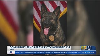 Community sends prayers to wounded Delano PD K9 Axel