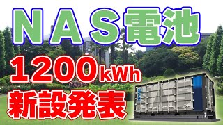 【1200kWh】定置型『NAS電池』新設を発表！【日本ガイシ】