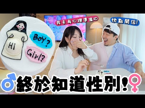 Vlog 🇰🇷 知道胎兒性別了👶🏻 酸男辣女準嗎？家人朋友反應竟然…？韓國做nipt費用&需時? 🐝 Mira 咪拉