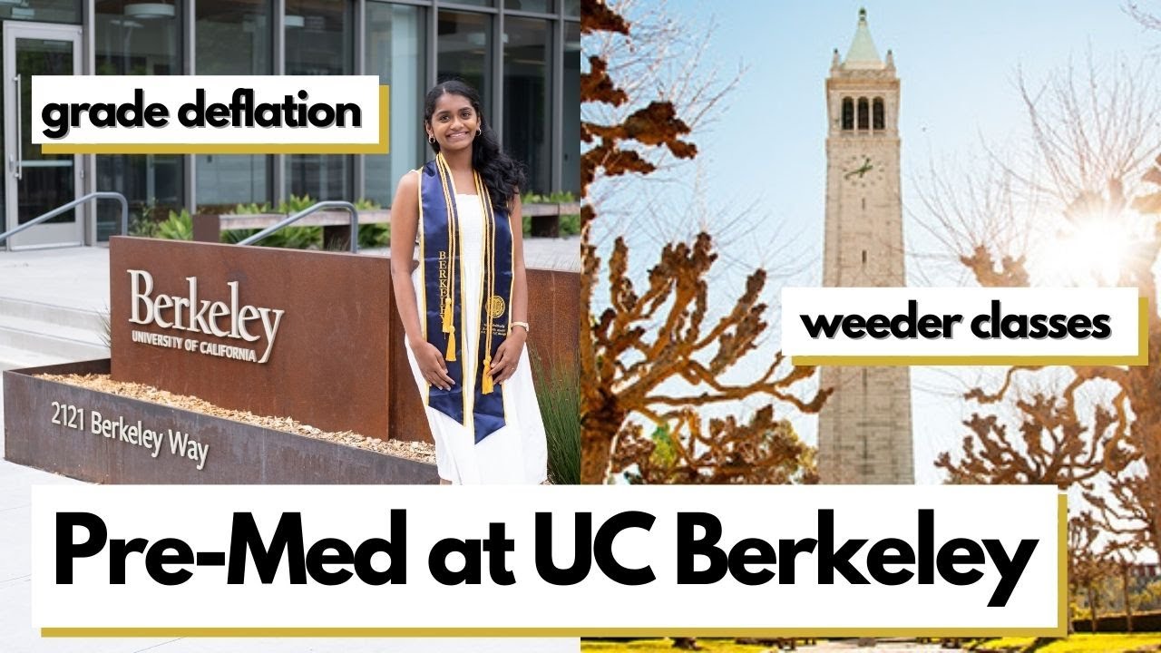 PRE-MED AT UC BERKELEY: major, weeder classes, grade deflation, med school  applications - YouTube