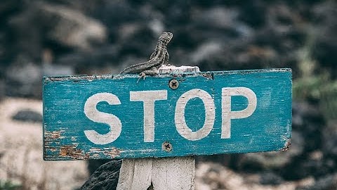 4 TURNS DEFEATED SMILONEMYS (NO HEAL) with THYLACOTATOR lv 11+ JURASSIC WORLD ALIVE (JWA) BOSS RAID