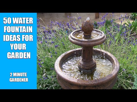 Video: Sodo fontanų dizainas: patarimai, kaip į sodą įtraukti vandens fontanus