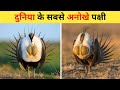 दुनिया के सबसे सुंदर पक्षी | 10 Most Beautiful Birds In The World | Rare Birds On Earth In Hindi