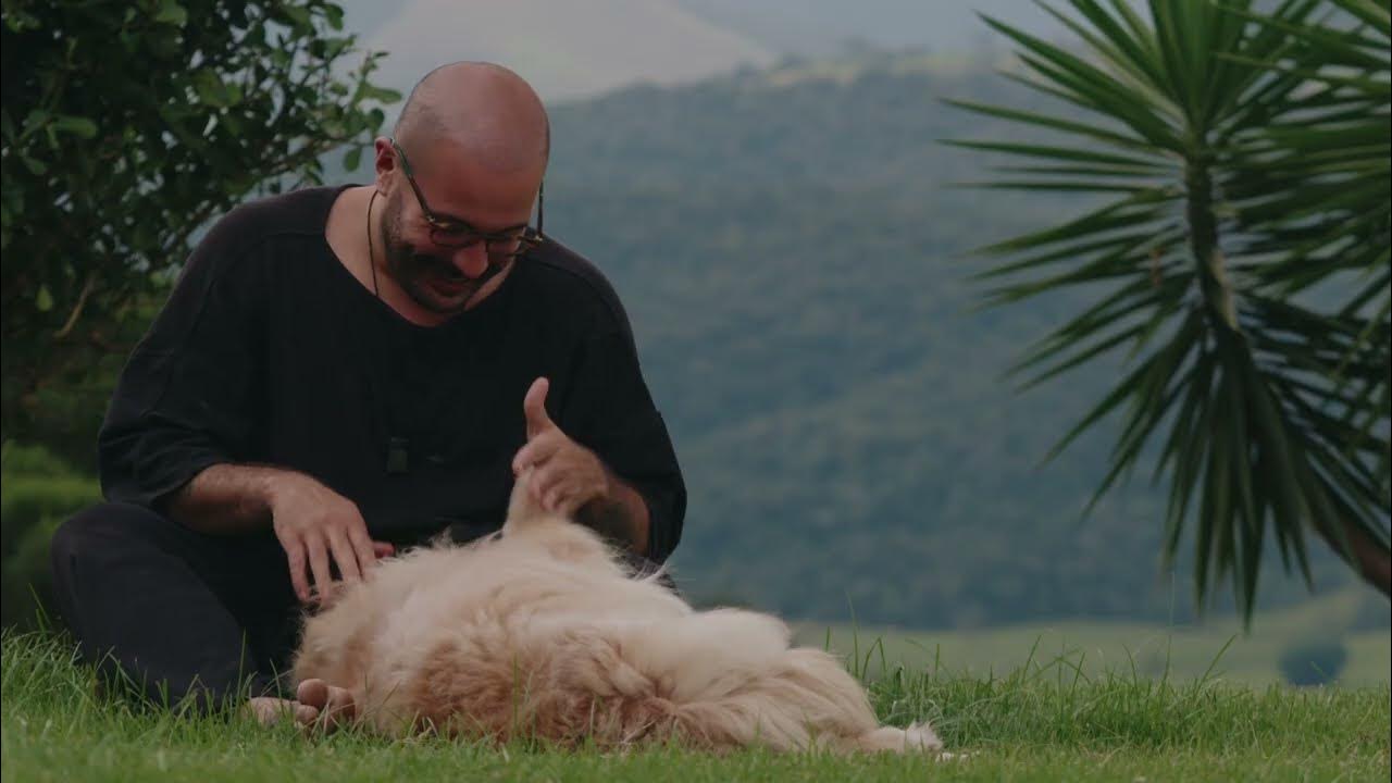 Descobrindo o Brasil com a Hyundai | Serra da Mantiqueira