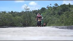 PETRONAS - YouTube