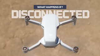 My DJI Mini 2 Lost Connection