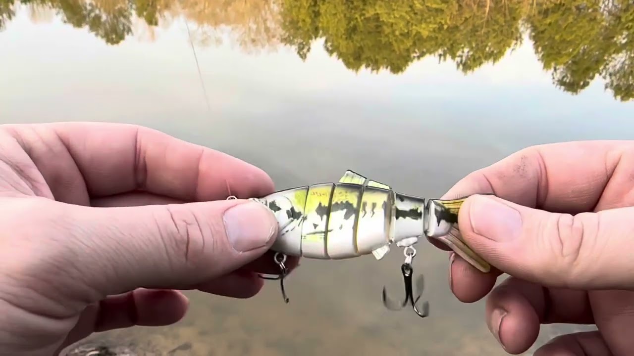 charm yee fishing lures CharmYee Bass with Hot Stamping Foil Designed Highly Realistic 8 Multi Jointed Swimbaits for Freshwater Saltwater Bass Trout Fishing Bait : Buy Online at Best Price in KSA jointed body Real Testing, Design, Issues, &