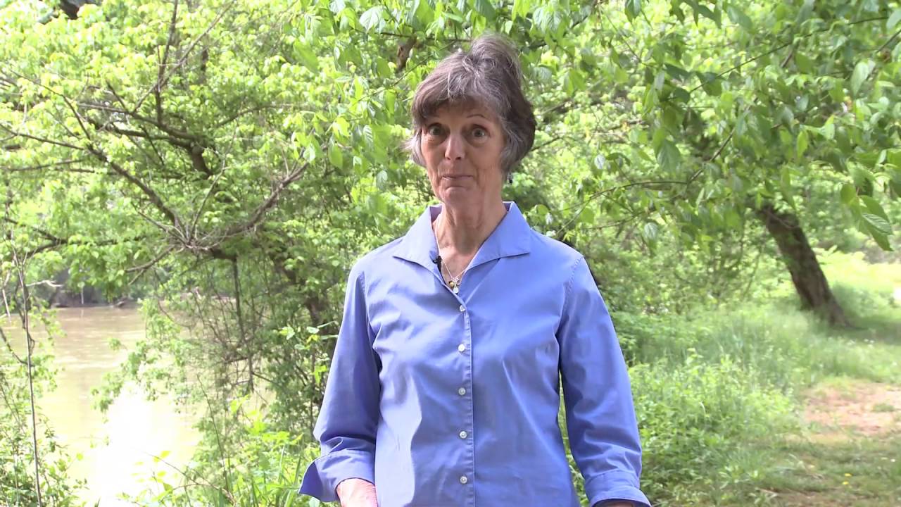 Denise Snodgrass Karen Cragnolin's leadership YouTube