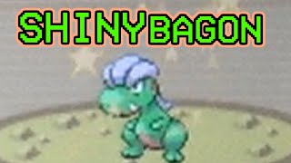 567 - LIVE! Shiny Bagon in Ruby Version after only 880 REs!!! (+ evolutions)