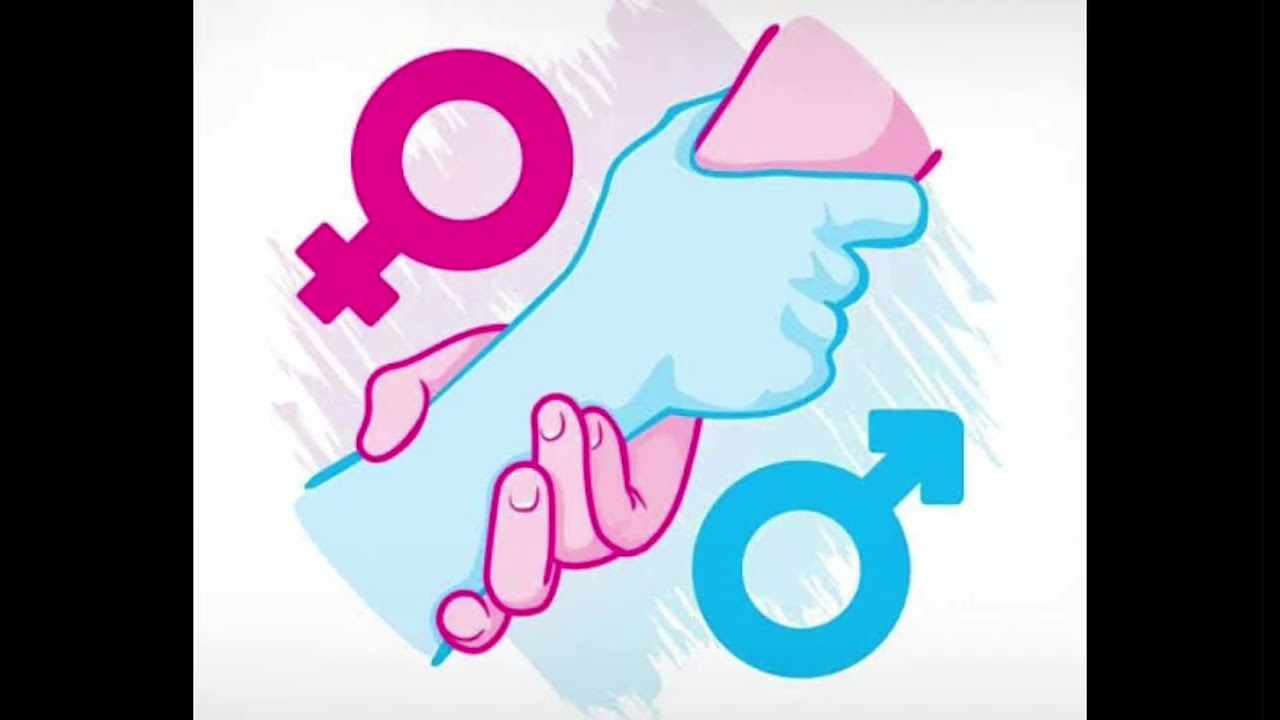 Gender Equality Awareness (Project Purposes)