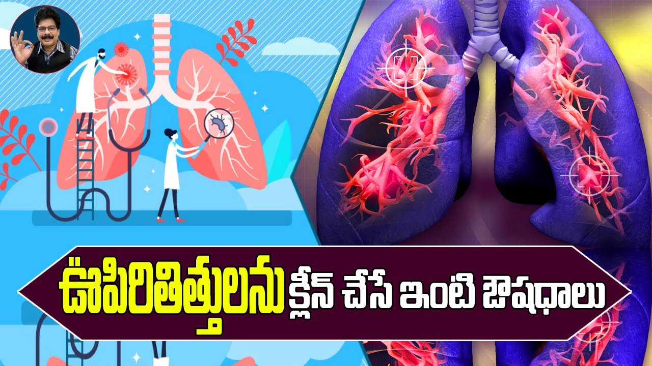 ఊపిరితిత్తుల్లో నిమ్ము చేరిందా? వీటిని తింటే లంగ్స్ రెండూ శుభ్రమవుతాయి. Best Remedies for Bronchitis