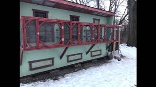 Racing Pigeons 2019. Loft Update And What’s To Come.