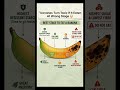 Best Stage to Eat a Banana 🍌✨