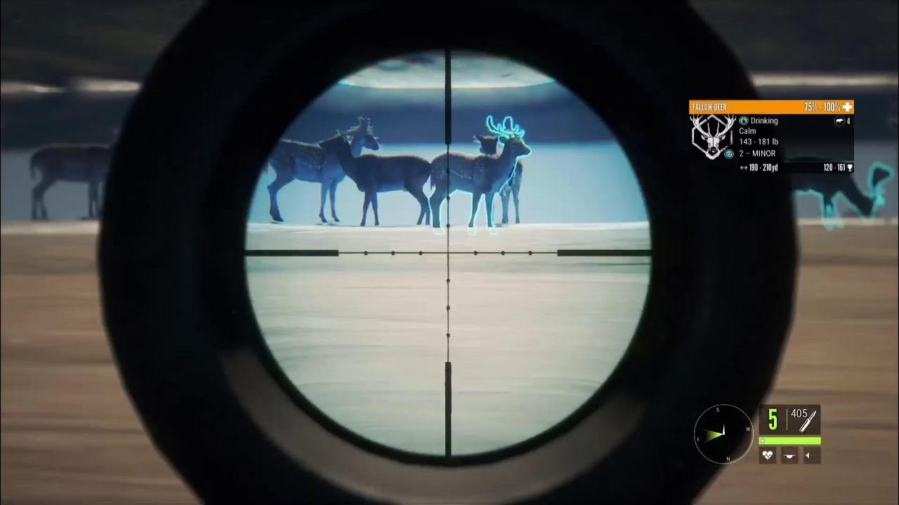 Grinding for a great one fallow deer on hunter call of the wild YouTube
