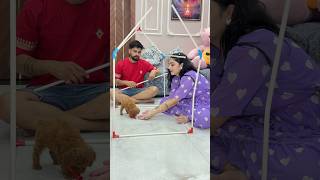 Built a little house for Cash🐶🏠 #youtubeshorts #shorts #kajalsoni #dog @Kajalsoni_vlogs