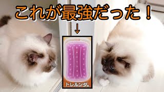 モフ猫にシリコンの猫用ブラシ使ってみた【トレルンダ君】