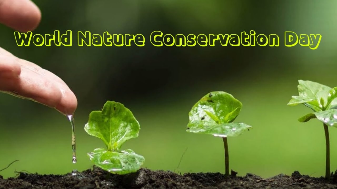 World Nature Conservation Day 4K 