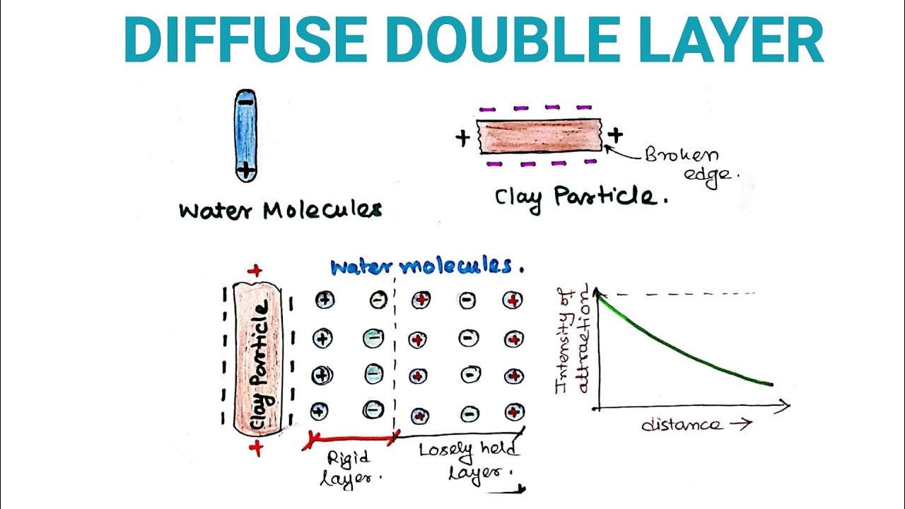 Graphic description of the electrical double layer on a clay