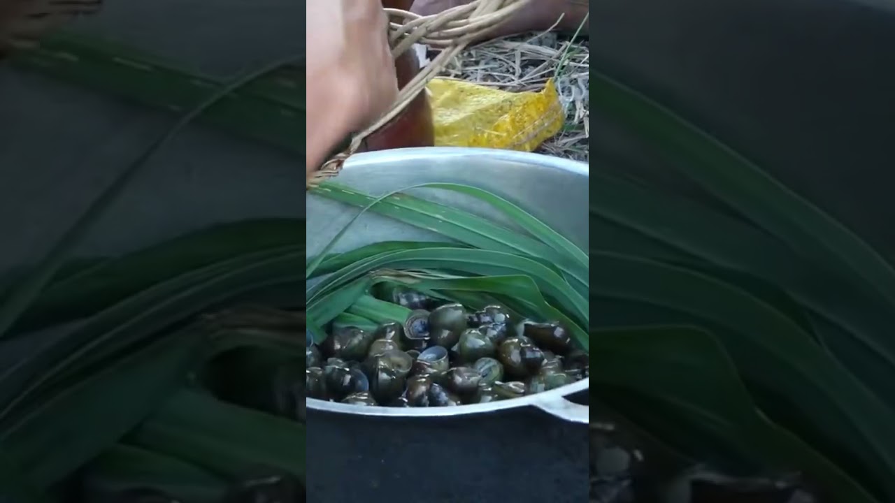 Cooking snail for eating 