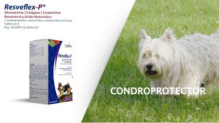 #Resveflex -P Dolor en los Huesos, Articulaciones, de tu #Perro