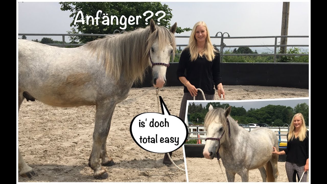 Bodenarbeit Fur Anfanger Hinterhand Weichen Youtube