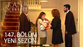 Kan Çiçekleri 147. Bölüm Fragmanı l Yeni Sezon Tarihi Belli Oldu