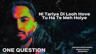 ONE QUESTION-Tegi Pannu | Lyrics | Slowed & Reverb | New Punjabi Song