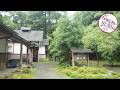 Wa no Cottage Sen-no-ie | Yakushima, Japan | Hotel Review 🛏️