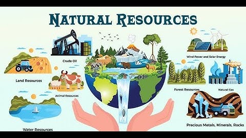 Natural resources and Forest resources