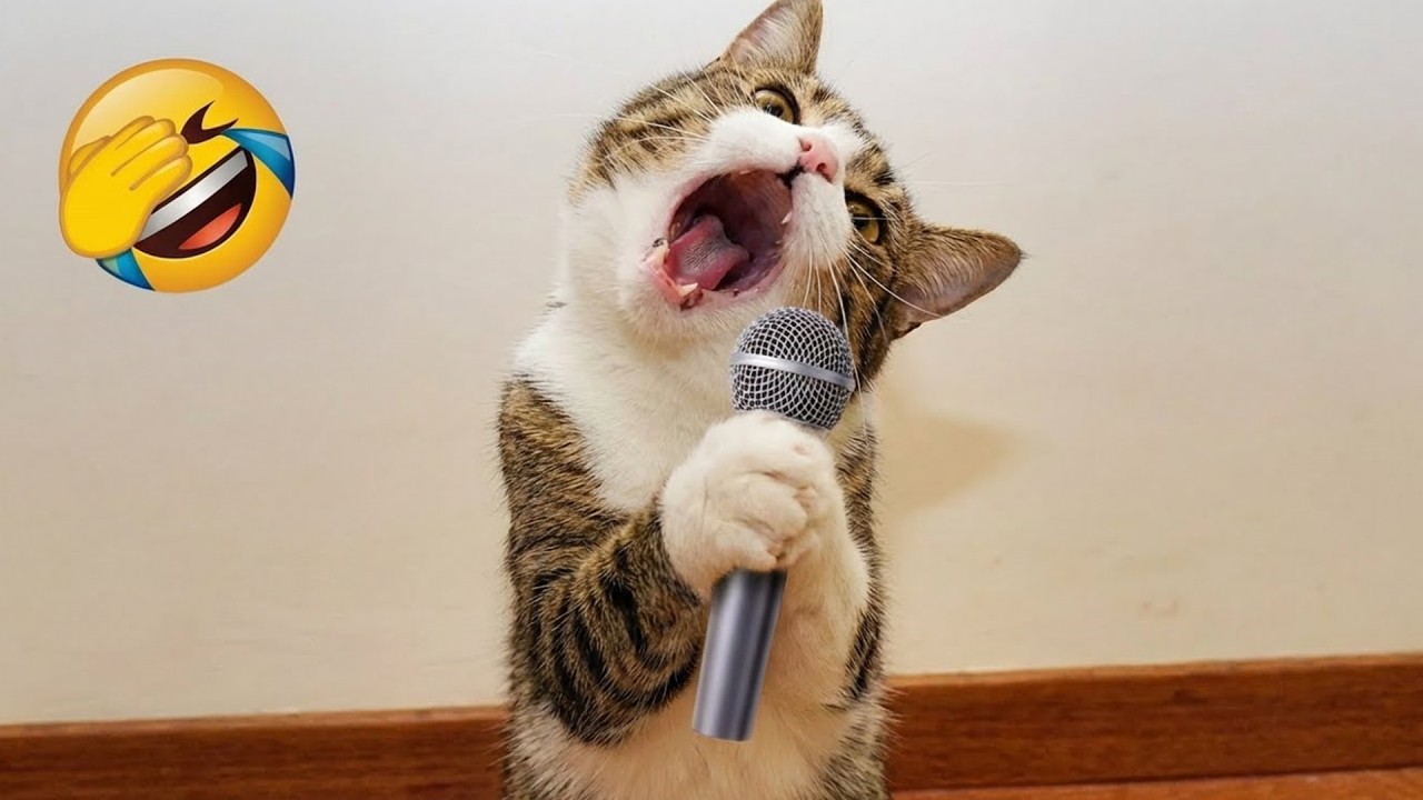 Хохочите до упаду с этими смешными животными 😂