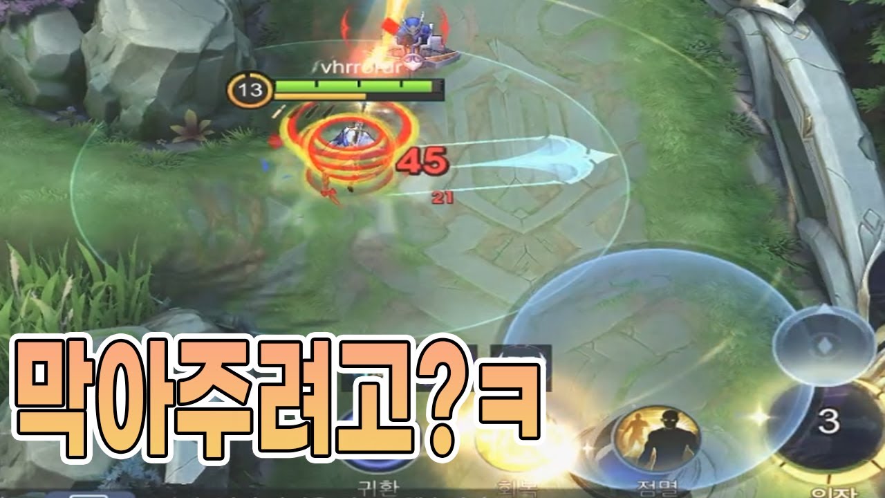 모바일레전드 레슬리) 그래 궁 막아주려고 했던건 기억할게!