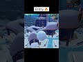 Enemy Busy in looting 😂😂 #pubg #pubgfunny #pubgfunnymoments 