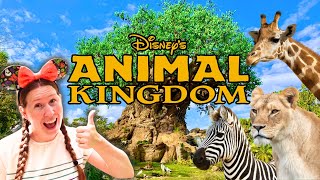 Australians On Safari At Walt Disney Worlds Animal Kingdom!