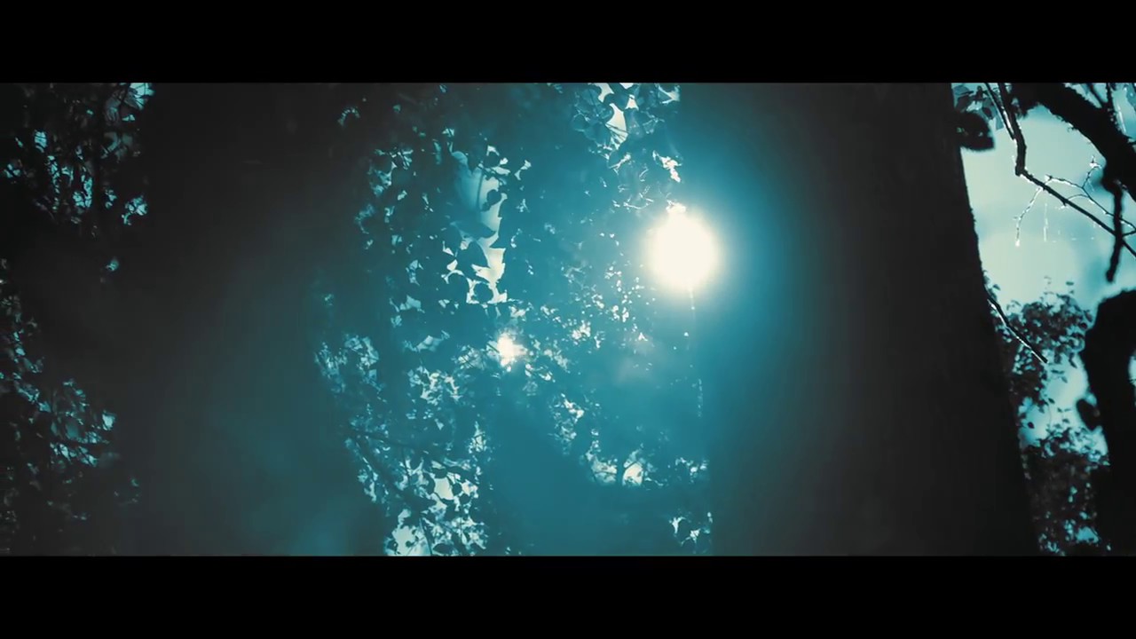 FRAGARAK (India) - Alucinari IV - The Fall OFFICIAL VIDEO (Experimental Death Metal)