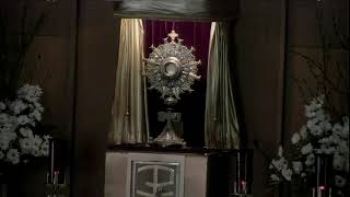 3:00pm Divine Mercy Chaplet & Rosary