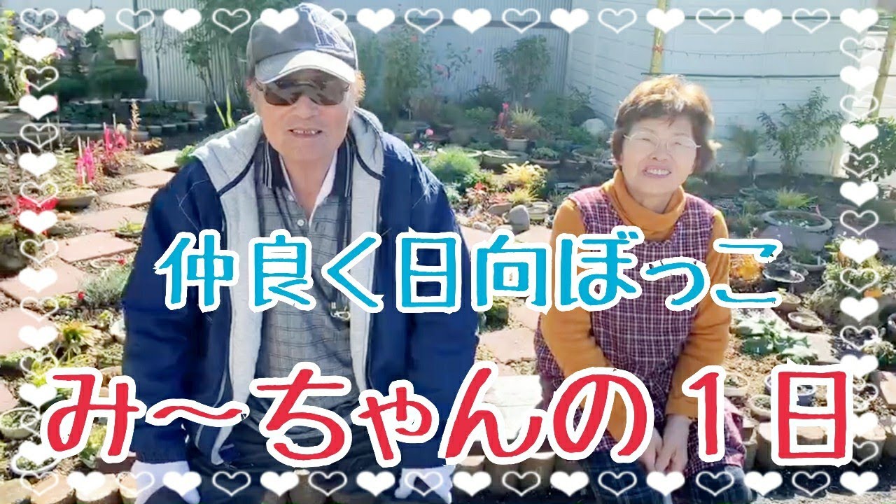 #195【80代老夫婦】平和な日常【田舎の暮らし】