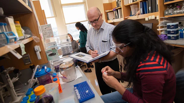 The importance of bridge funding for cancer research