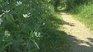 Bloomington Today: The BUZZ July 30 – August 5