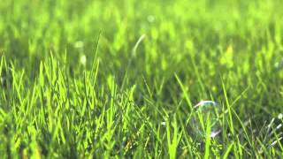 Allegro Spiritoso by J.B. Senaille for Bassoon and Piano