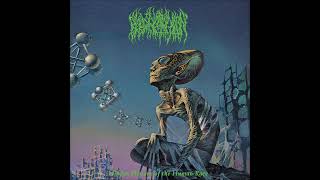 Blood Incantation - Hidden History Of The Human Race (FULL ALBUM)