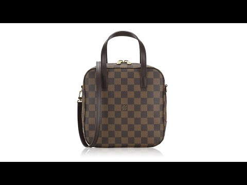 Louis Vuitton Damier Ebene Spontini with Strap