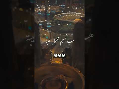 نور في الأجواء تألق 